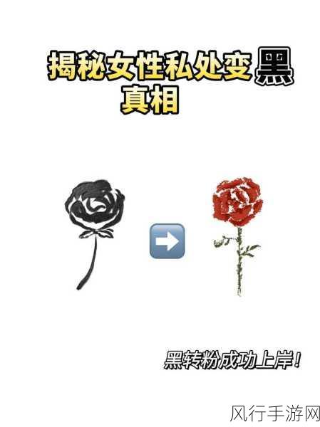 51黑料爆料：揭秘51黑料背后的真相与内幕，网友热议！