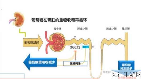 一线产区和二线产：拓展一线产区与二线产业链的协同发展策略