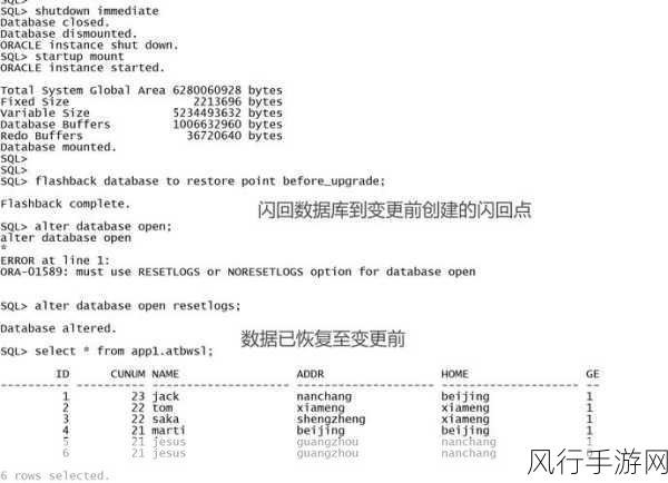 探索 Oracle 数据库与 MySQL 转换的有效途径