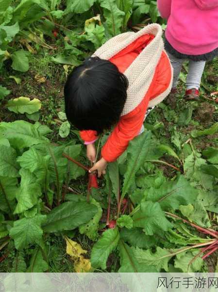 小舞和帅哥在床上拔萝卜：小舞与帅哥在床上共拔萝卜的甜蜜时光