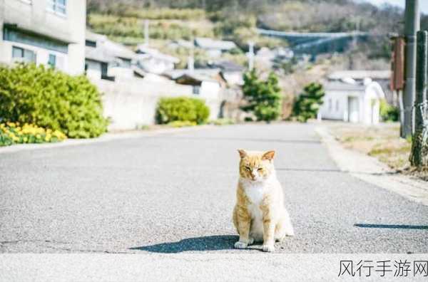 下过海的日本艺人排名：全球影响力：过海日本艺人排名及其成就探讨