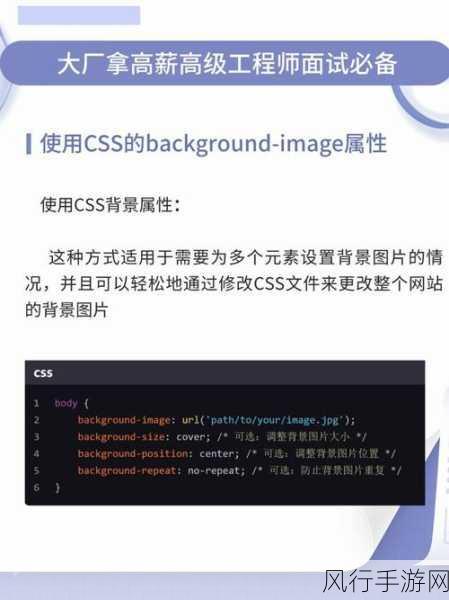 掌握 CSS min-height 背景颜色设置的技巧