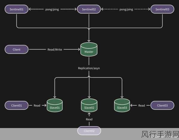 探索 Redis 适用人群的奥秘