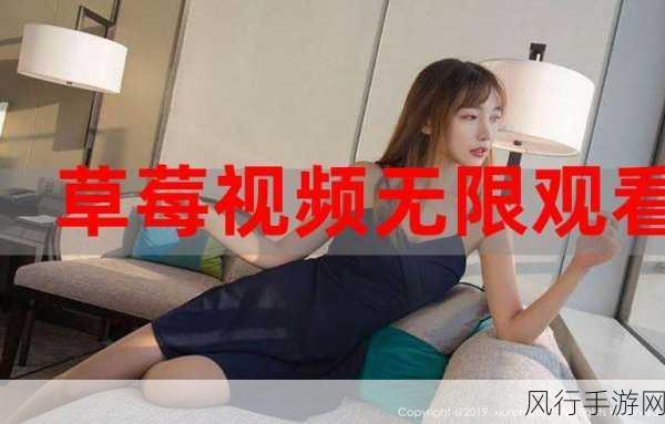 草莓视频色板无限：探索无限可能：草莓视频色板的创意与应用