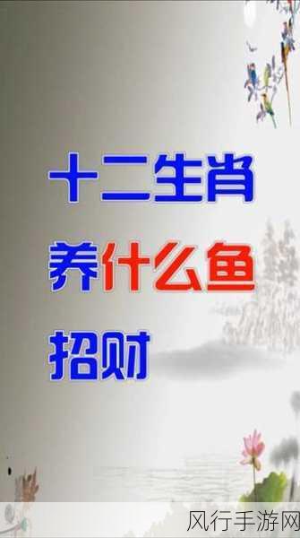 巧取三六和九数是什么生肖：巧妙解读三六九的数字背后生肖含义与解析