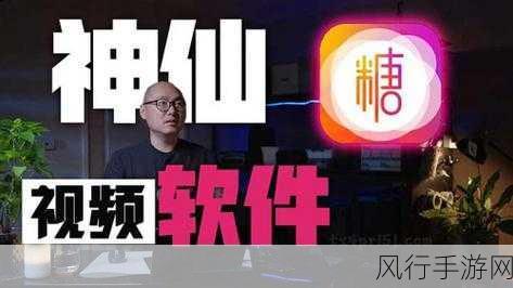 柚子猫糖心logo所有作品：“柚子猫糖心品牌全新形象：独特创意与甜蜜梦想的完美结合”