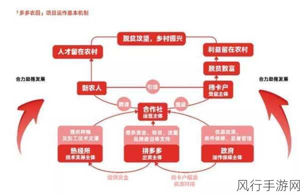 国精产品一二三产区MBA智库：优化国精产品一二三产业链布局，提升市场竞争力与品牌影响力