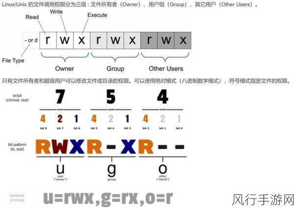 深入探究 Linux ll 命令的参数设置