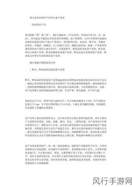 99精产三产区区别：99精产三产区的定义与区别详解分析