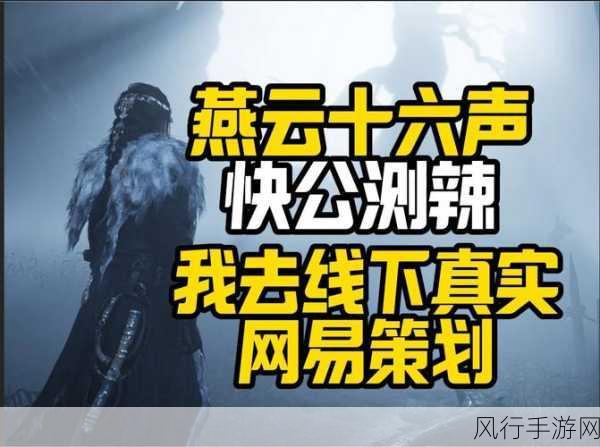 燕云十六声大老鼠揭秘，老鼠洞探索攻略与财经数据