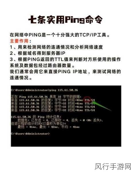 探索 Linux 命令行中查看网络的高效方法