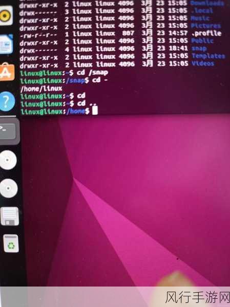 探索 Linux 命令行中查看网络的高效方法