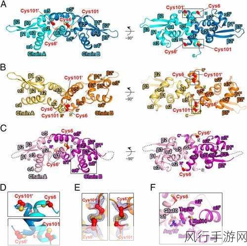 深入解析 C 中的 DistinctBy 方法