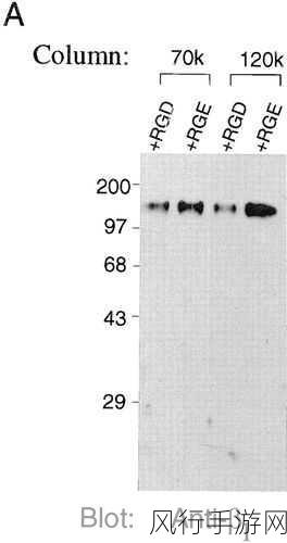 深入解析 C 中的 DistinctBy 方法