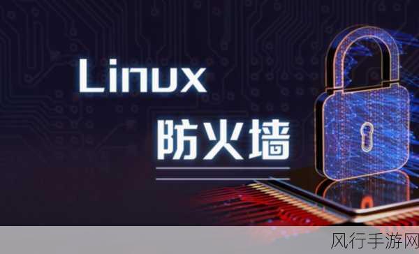 筑牢 Linux 下 Admin5 安全性的坚固防线