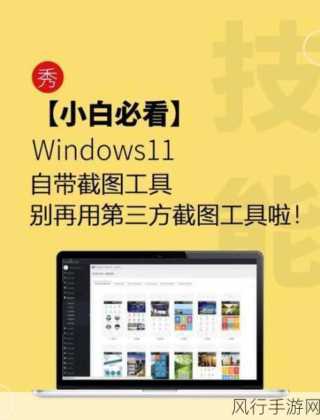 轻松解锁 Win11 相机，开启精彩影像之旅