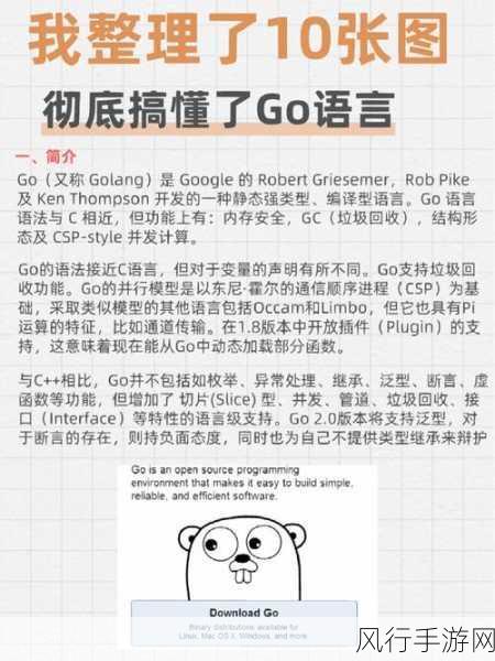 探索 Go 语言类型断言，提升可读性的关键策略