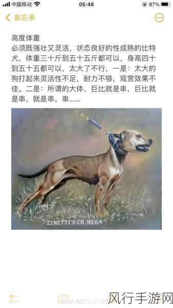 比特犬小头身长的独特魅力，手游跨界合作新宠