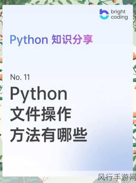 探索 Python 中 FTP 命令的操作之地