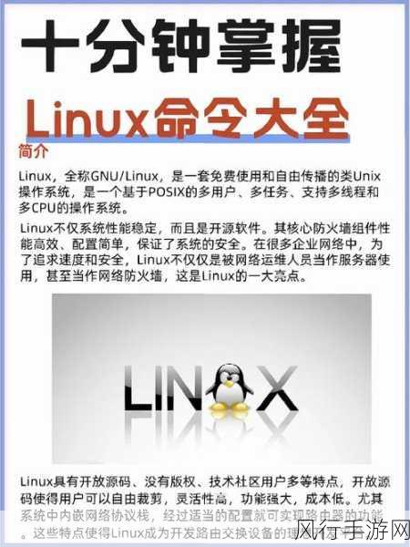 掌握 Linux 关机命令，轻松管理系统