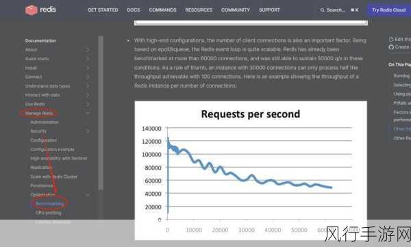 提升 RDS Redis 查询性能的关键策略