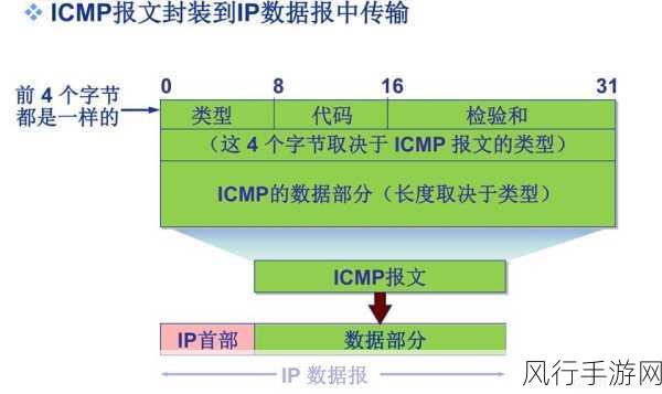 C OpenAPI 与其他协议的深度剖析