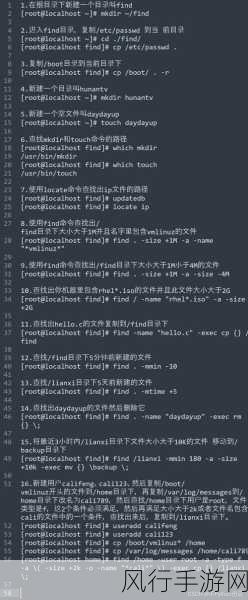 探索 Linux 中 Find 命令的独特之处