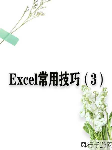 掌握 Excel 锁定图片技巧，让其稳如泰山