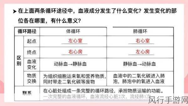 深入探究 C 中不同循环的特性差异