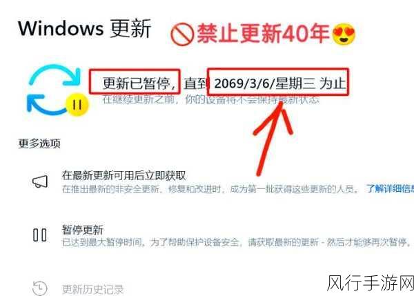 Win10 暂停更新与更新问题全攻略