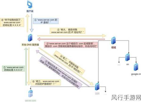 Docker 桥接网络中的 DNS 配置探秘