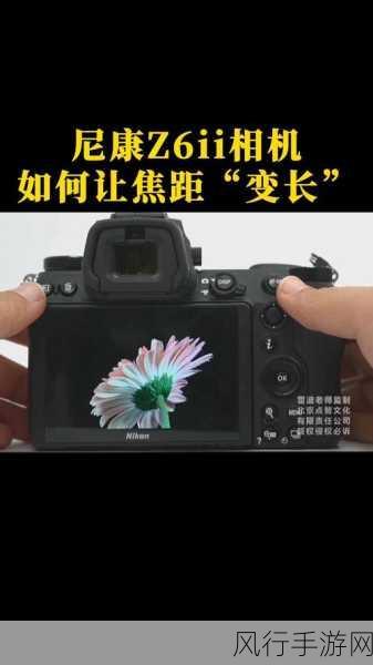 尼康 Z6II 单反相机删除照片的恢复秘籍