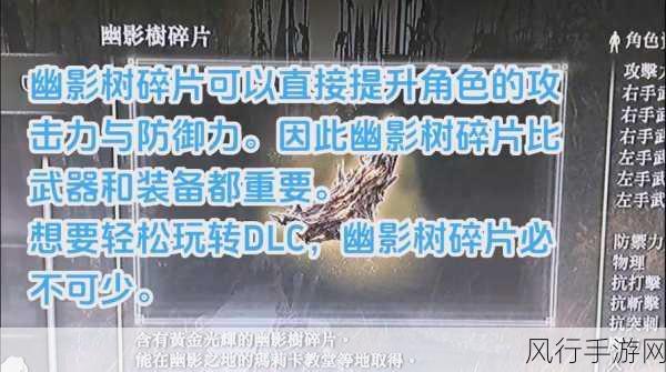 艾尔登法环力气提升策略，手游公司强化锻炼与技能掌握的经济账