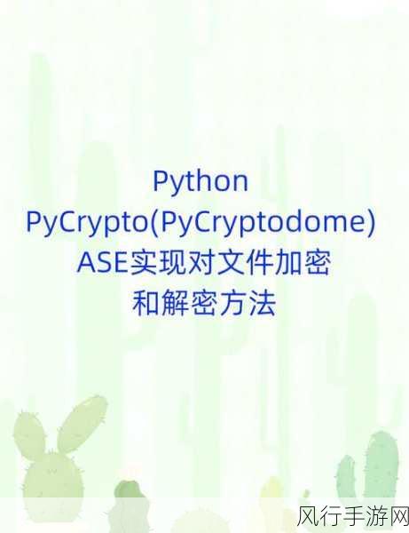 探索 Python 数据加密在文件中的应用可行性