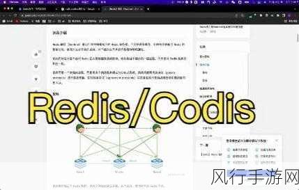 优化 Codis 和 Redis 内存使用的关键策略