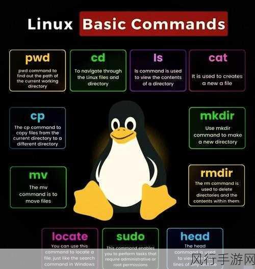 深度解析，Linux ld 命令的关键要点