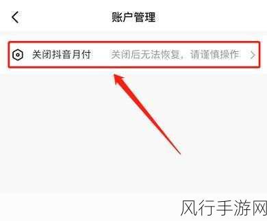 抖音月付券，关闭与潜在风险的深度解析