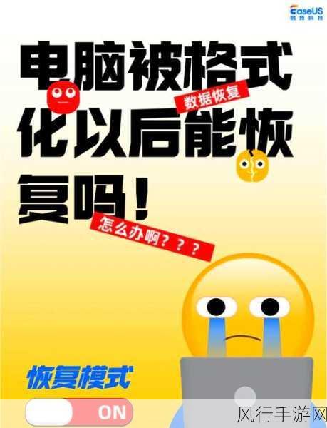 四天前电脑 E 盘格式化，数据能否重现？