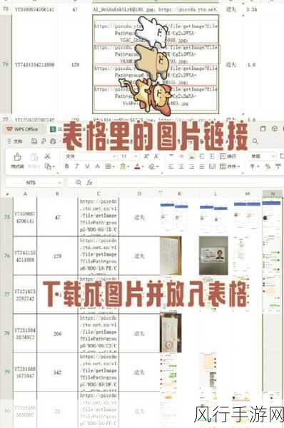 轻松掌握金山文档演示中设置圆角图片的技巧