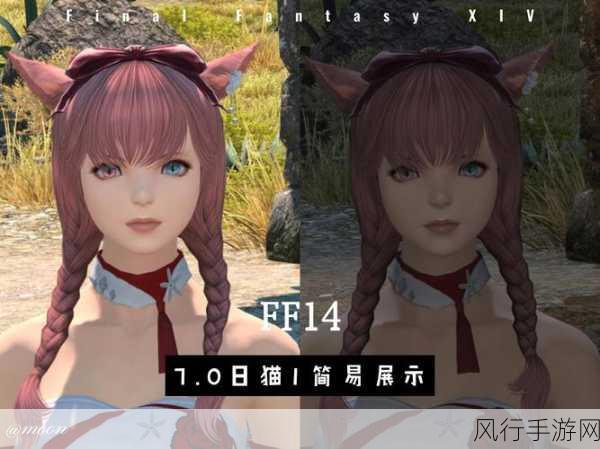 FF14情感动作界面，提升玩家互动体验的关键