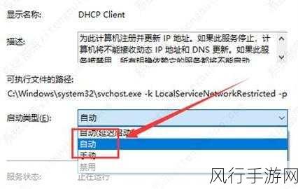 轻松解决 Win11 DHCP 服务异常，让网络重归顺畅