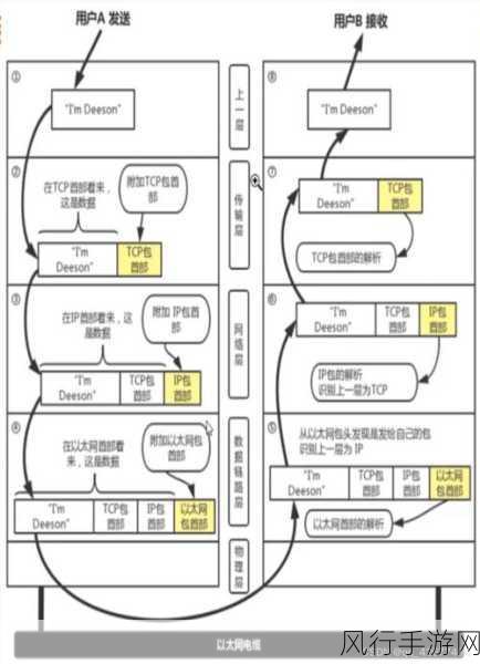 探索 Python3 在 Linux 中的网络编程之旅