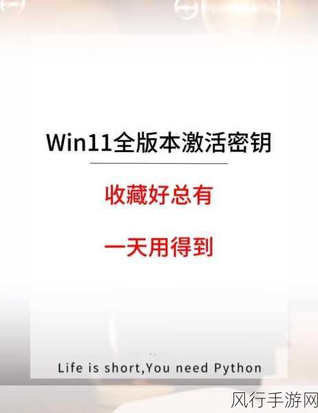 探索 Win11 专业版激活密钥的神秘世界