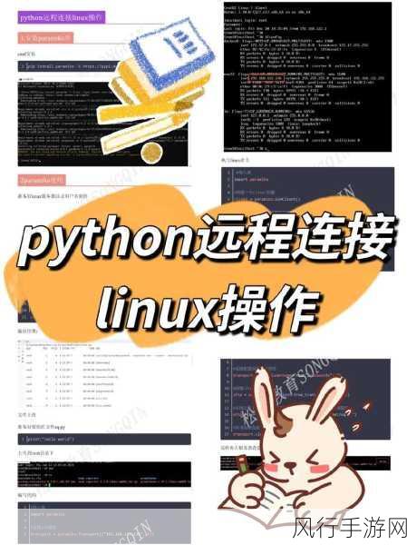 Linux 中 Python 版本的明智之选