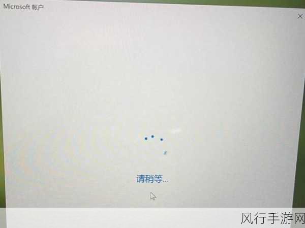 轻松解决 Win11 登录微软账号一直转圈的难题