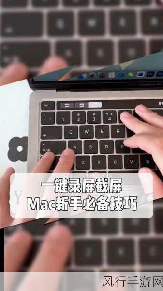 轻松掌握，Win11 中查看 MAC 地址的妙法