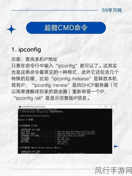 探索 Linux，CMD 命令与用户管理的奥秘