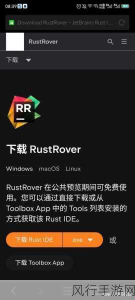 掌握 Rust IDE 设置，提升开发效率