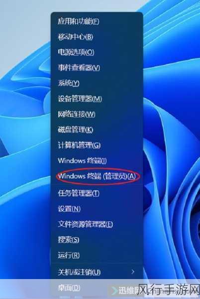 轻松应对 Win11 设置崩溃难题，让系统重归稳定