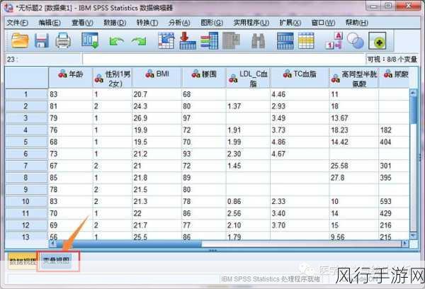 掌握 SPSS 导入 Excel 数据的高效方法